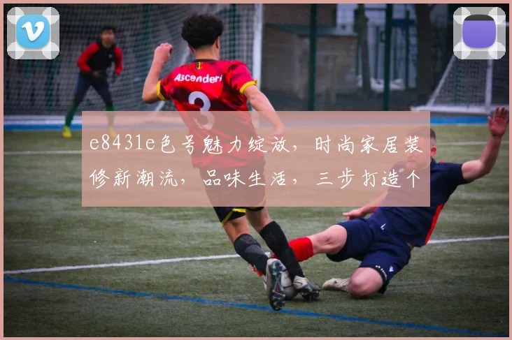 e8431e色号魅力绽放，时尚家居装修新潮流，品味生活，三步打造个性空间，家居美学，一触即发