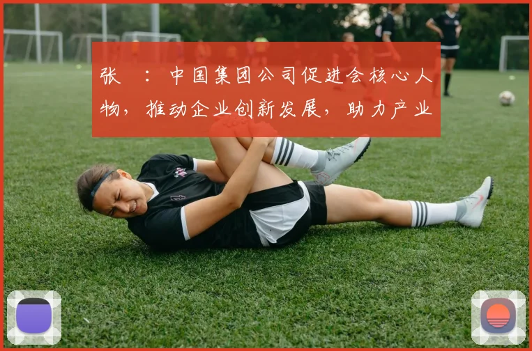 张彧：中国集团公司促进会核心人物，推动企业创新发展，助力产业升级，引领行业未来。